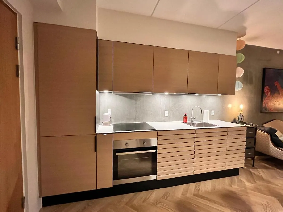 Apartment Directly To Seafront Of Bassin 7 With Big Balcony And Free Parking Aarhus Denmark
